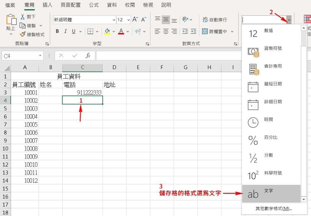 設定儲存格的格式_文字