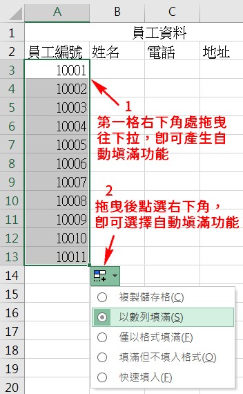 excel自動填滿功能選擇